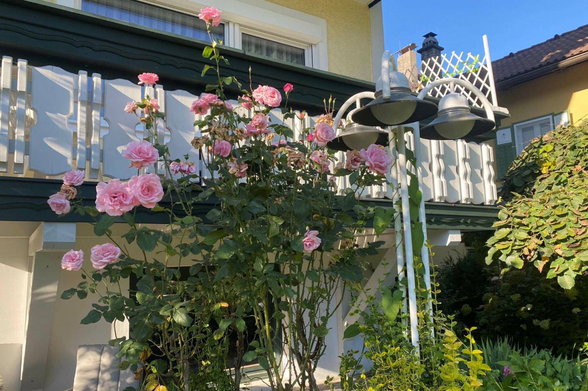 Pension & Apartments Ertl Зебоден Екстер'єр фото