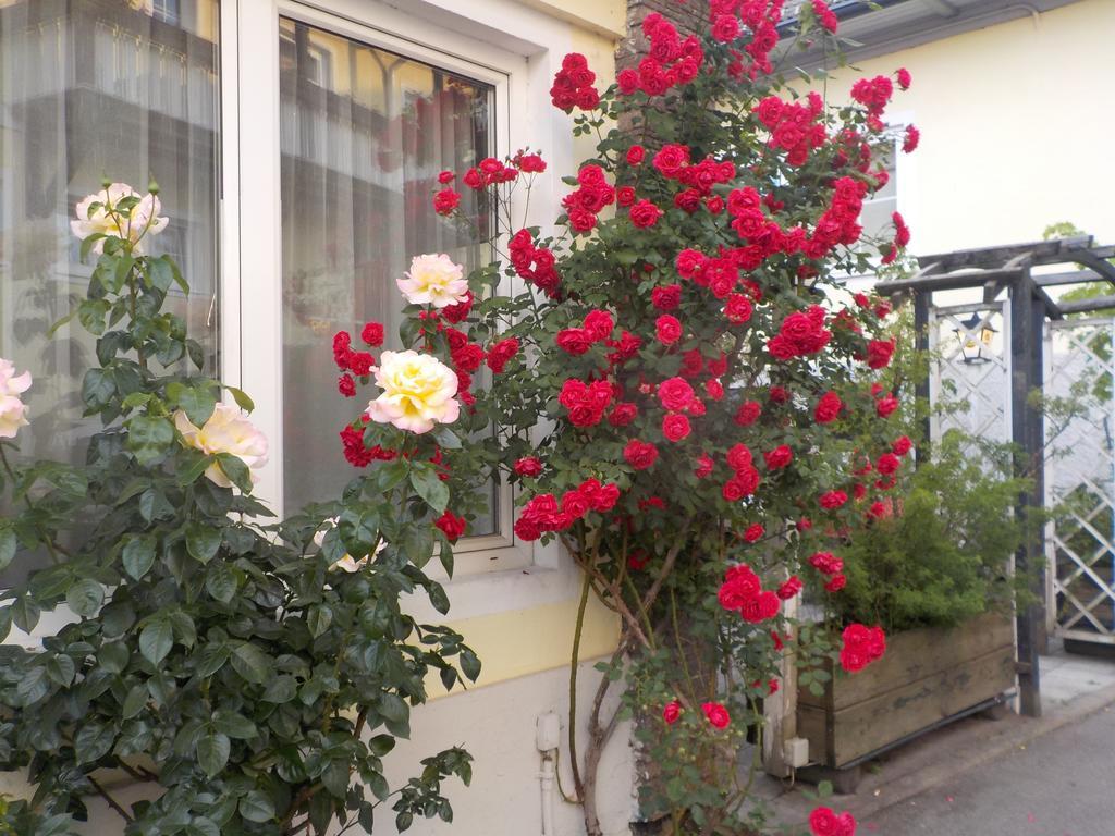 Pension & Apartments Ertl Зебоден Екстер'єр фото